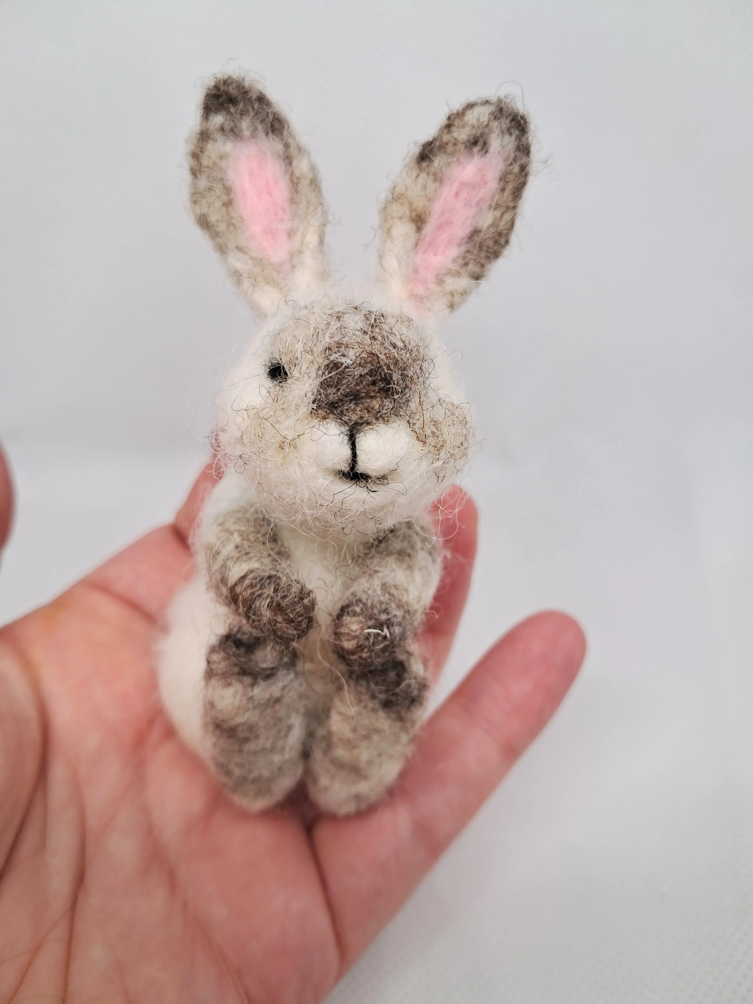 Бял Заек – thumbnail 2